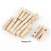 CLOTHESPINS NAT 2.75IN 24PK CE3683-01