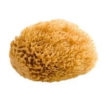 NATURAL SEA SPONGE 2.5 to 3 inches ROYAL R2003