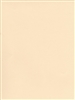 CANSON MI-TEINTES PASTEL PAPER IVORY 8.5x11 inches CN100511282
