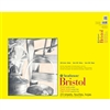 BRISTOL PAD STRATHMORE 19x24 inches 20 sheets 100LB 342-19