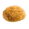 NATURAL SEA SPONGE 2.5 to 3 inches ROYAL R2003