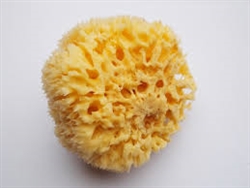 Royal Brush R2005-B Synthetic Ceramic Sponge, 2-1/2 Diameter