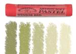 PASTEL WINSOR OLIVE GREEN T5 2885447
