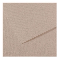 CANSON MI-TEINTES PASTEL PAPER MOONSTONE 19x25 inches CN100511244