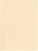 CANSON MI-TEINTES PASTEL PAPER IVORY 8.5x11 inches CN100511282