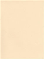 CANSON MI-TEINTES PASTEL PAPER IVORY 8.5x11 inches CN100511282