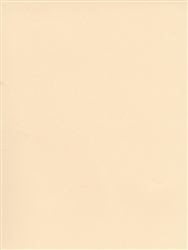 CANSON MI-TEINTES PASTEL PAPER IVORY 8.5x11 inches CN100511282
