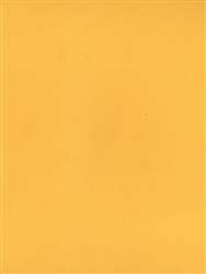 CANSON MI-TEINTES PASTEL PAPER CANARY 8.5x11 inches CN100511301