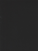 CANSON MI-TEINTES PASTEL PAPER STYGENT BLACK 8.5x11 inches CN100511303