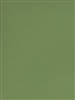 CANSON MI-TEINTES PASTEL PAPER GREEN 8.5x11 inches CN100511310