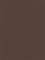 CANSON MI-TEINTES PASTEL PAPER TOBACCO 8.5x11 inches CN100511315