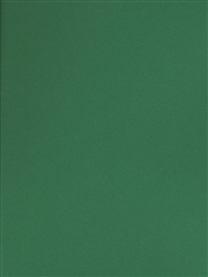 CANSON MI-TEINTES PASTEL PAPER VIRIDIAN 8.5x11 inches CN100511323