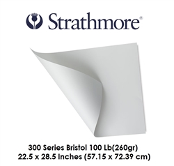 PAPER BRISTOL SHEET 22.5 x 28.5 inches 100LB 300 SERIES 345-2