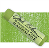 PASTEL RICH GREEN 21 426190