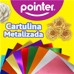 METALLIC HEAVYWEIGHT PAPER 10 PACK 8.5x11 inches 250 grams POINTER 10238